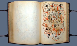 NAPLO ARTIST'S BOOK SERIES - 100