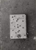 ''Killing a Book by Shooting" Milan Knížák