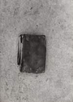 ''Killing a Book by Burning" Milan Knížák