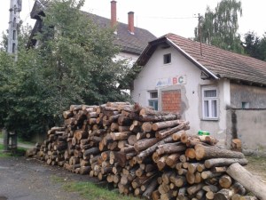 Former Mini General Store With Firewood
