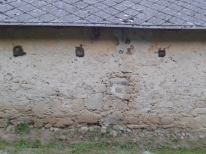 Old Stone Farm House