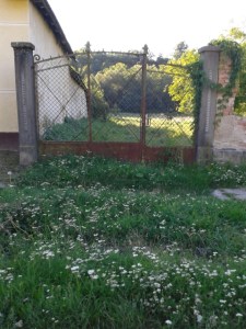 Village House With Gate