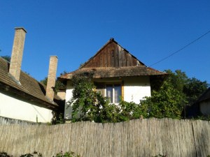 Village House With Reed Fence