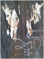 Writings on the Wall - 116