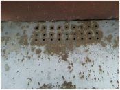 Writings on the Wall - 58