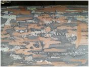 Writings on the Wall - 69