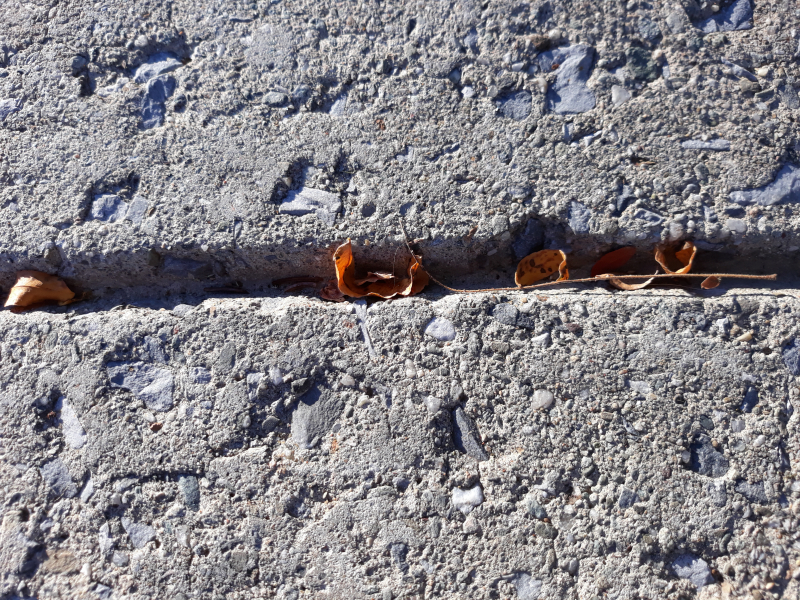 ON THE GROUND 13 - prayers (2021)