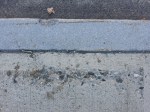 ON THE GROUND 15 - concrete, horizon with leaf (2021)
