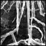 BLACK WINTER EXTRAPOLATION 1. (negative detail)